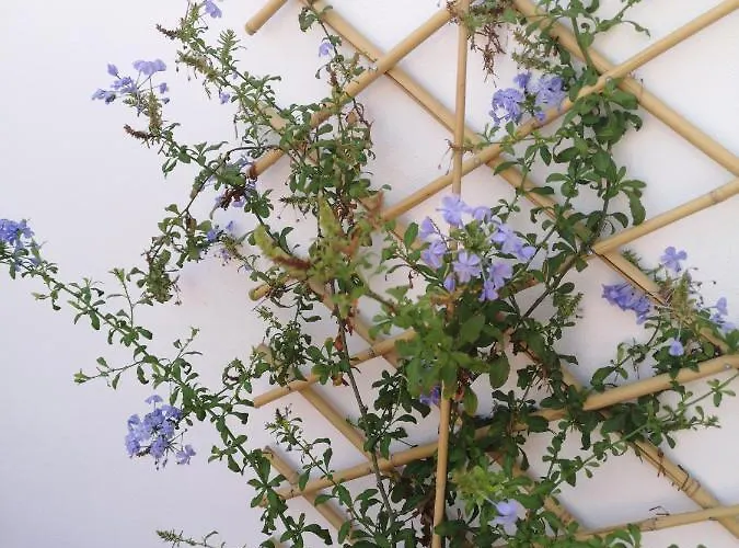 L'approdo Delle Sirene Bed & Breakfast Syracuse