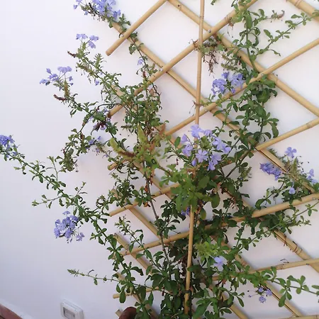 L'approdo Delle Sirene 4*