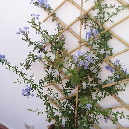 L'approdo Delle Sirene Panzió Szirakúza